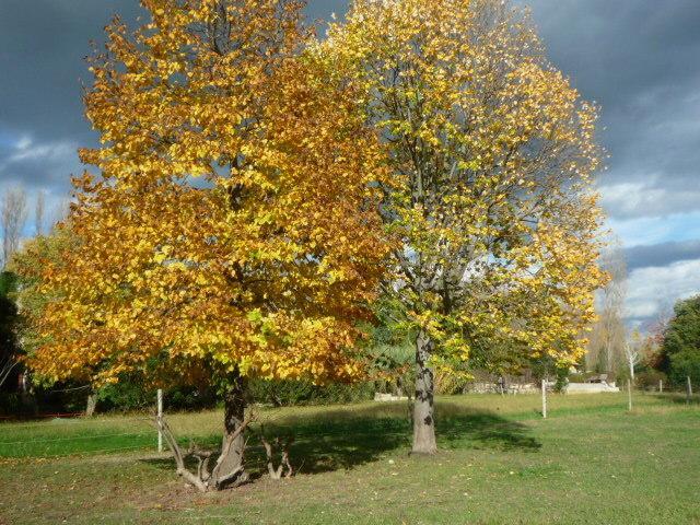 Le Mas De La Chouette Saint-Remy-de-Provence Ngoại thất bức ảnh