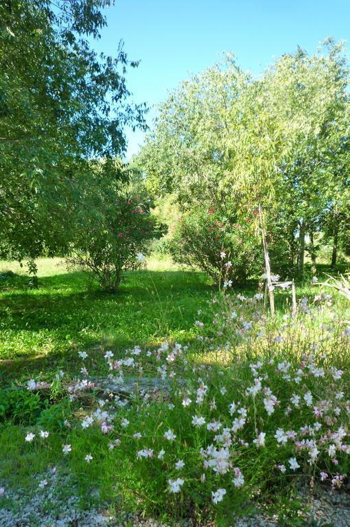 Le Mas De La Chouette Saint-Remy-de-Provence Ngoại thất bức ảnh