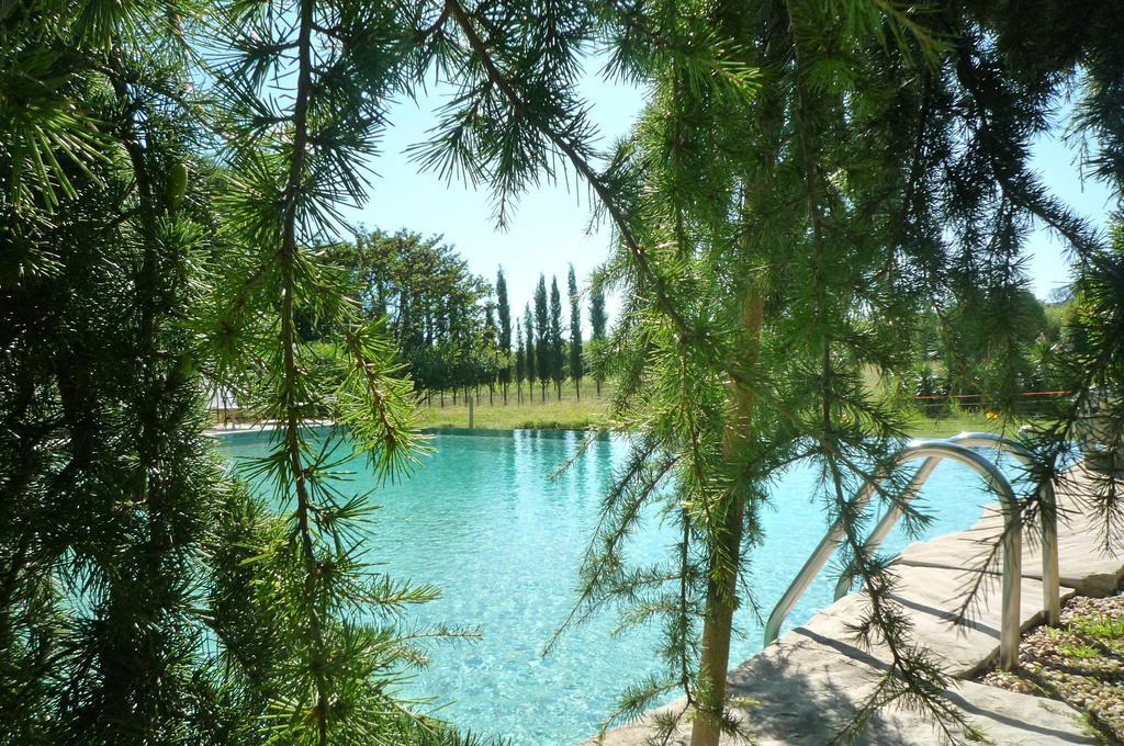 Le Mas De La Chouette Saint-Remy-de-Provence Ngoại thất bức ảnh