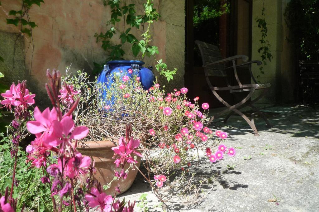 Le Mas De La Chouette Saint-Remy-de-Provence Ngoại thất bức ảnh