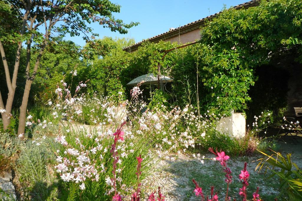 Le Mas De La Chouette Saint-Remy-de-Provence Ngoại thất bức ảnh