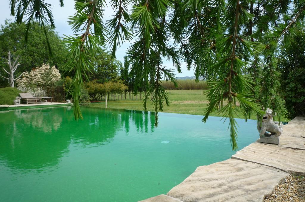 Le Mas De La Chouette Saint-Remy-de-Provence Ngoại thất bức ảnh