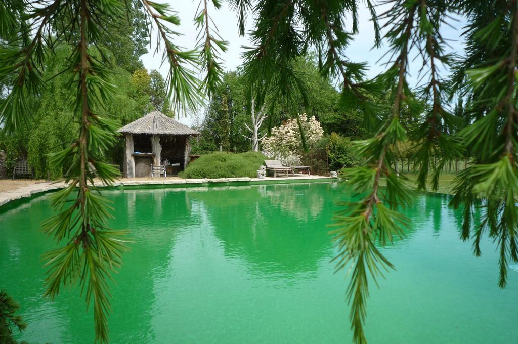 Le Mas De La Chouette Saint-Remy-de-Provence Ngoại thất bức ảnh