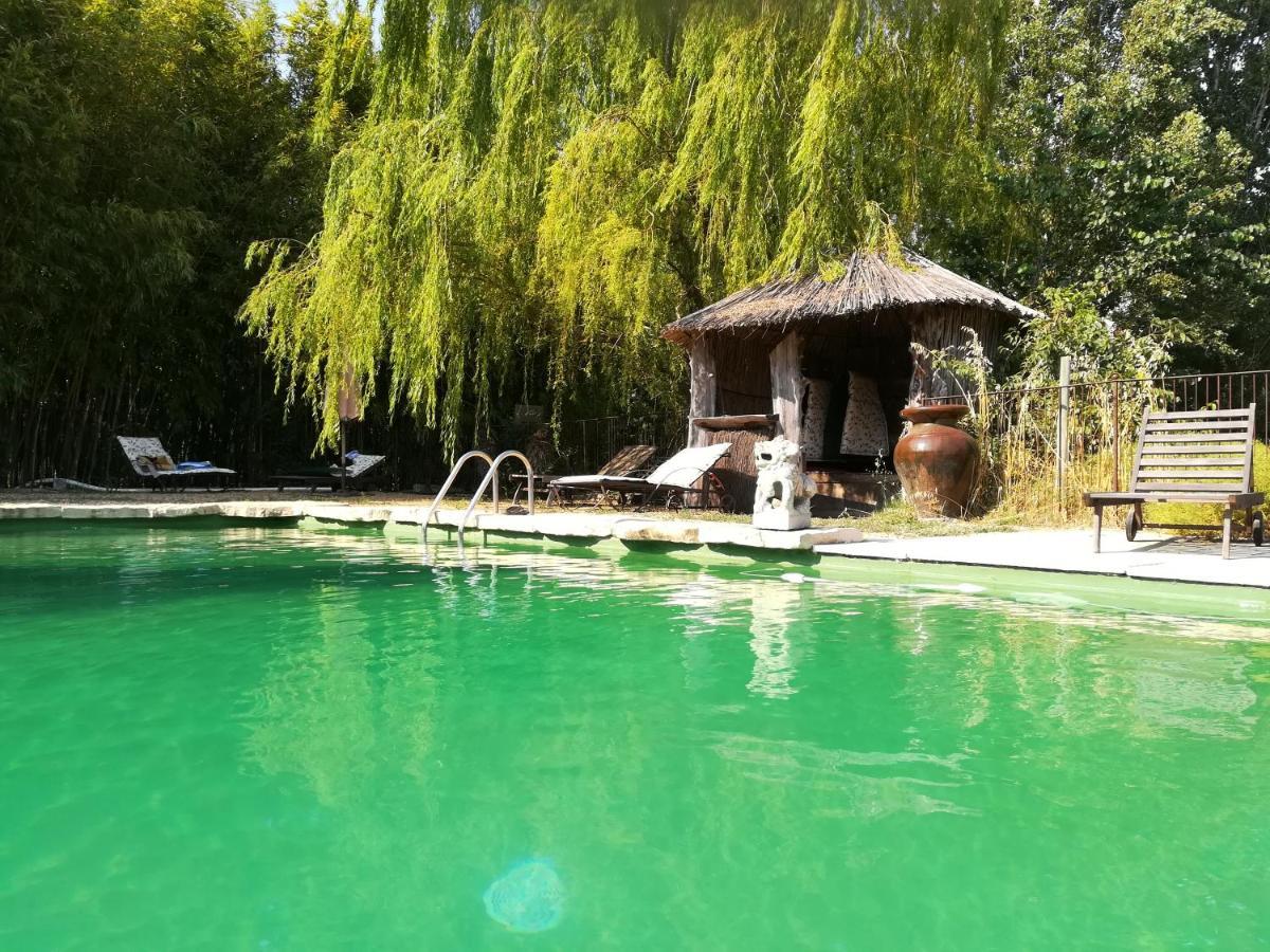 Le Mas De La Chouette Saint-Remy-de-Provence Ngoại thất bức ảnh